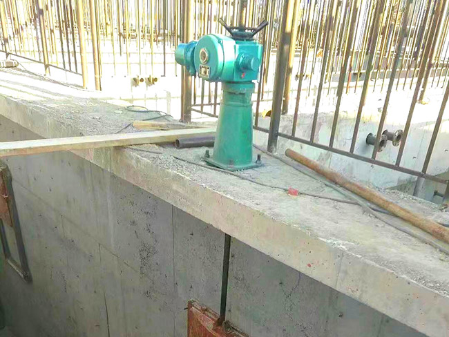 电动头螺杆启闭机